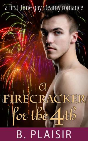 Book cover of A Firecracker for the 4th