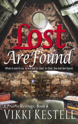 Book cover of Lost Are Found