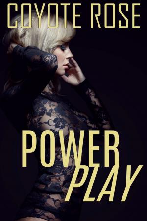 Cover of the book Power Play by Owen Burke