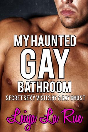 Book cover of My Haunted Gay Bathroom