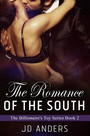 Book cover of Romance of the South
