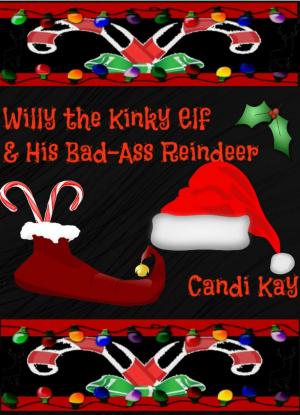 Book cover of Willy the Kinky Elf & His Bad-Ass Reindeer