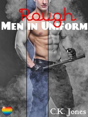 Cover of the book Rough Men in Uniform by Misty Dietz