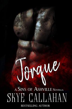Cover of the book Torque by Silver Rain