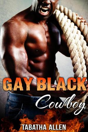 Cover of the book Gay Black Cowboy by Tabatha Allen, Tabatha Christi
