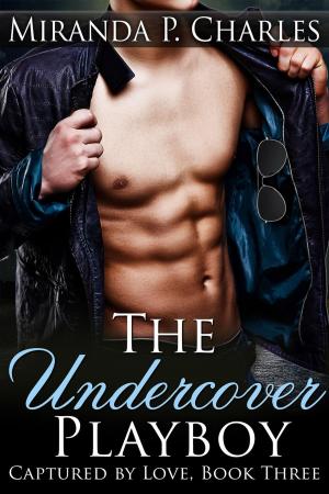 Cover of the book The Undercover Playboy by Christy Wilson