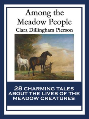 Book cover of Among the Meadow People