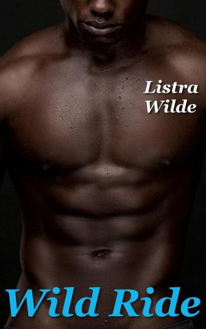 Cover of the book Wild Ride by R.A. Lee