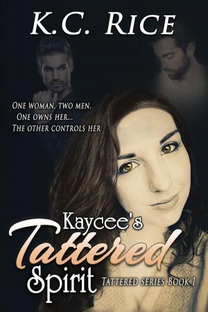Book cover of Kaycee's Tattered Spirit