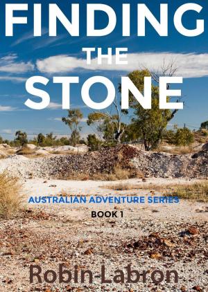 Cover of the book Finding the Stone by Alexis Aubenque