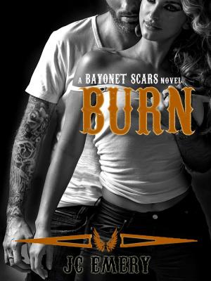 Cover of the book Burn by Lisa De Jong