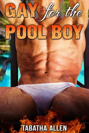 Cover of the book Gay for the Pool Boy by Tabatha Allen, Tabatha Christi