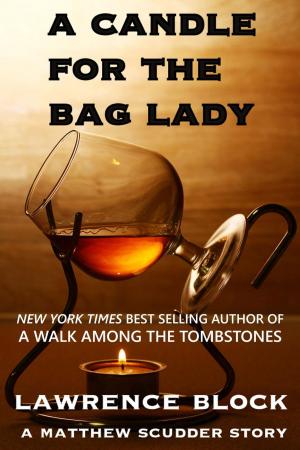bigCover of the book A Candle for the Bag Lady by 