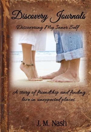Cover of the book Discovery Journals by Rhenna Morgan