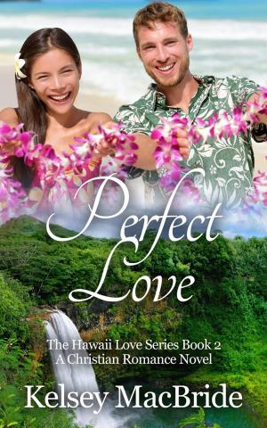 Cover of Perfect Love: A Christian Romance Novel