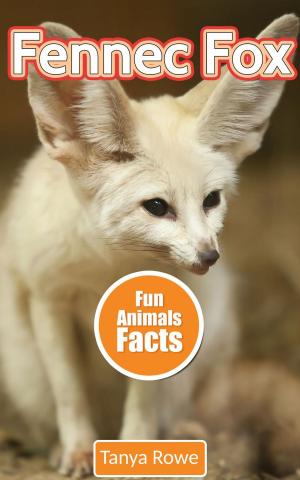Cover of the book Fennec Fox by Jean Shaw