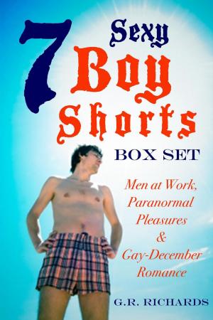 Cover of 7 Sexy Boy Shorts Box Set: Men at Work, Paranormal Pleasures and Gay-December Romance