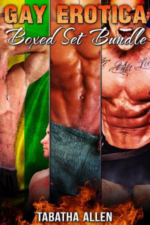 Cover of the book Gay Erotica Boxed Set Bundle by Tabatha Allen, Tabatha Christi