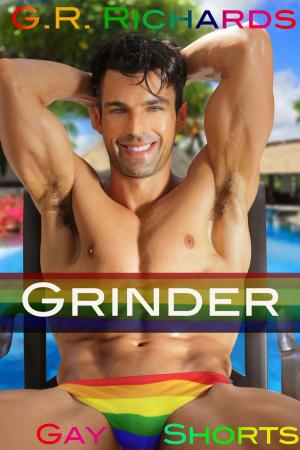 Cover of the book Grinder by Harmony Raines
