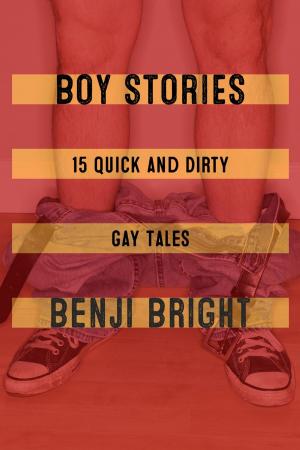 Cover of the book Boy Stories by Lana Fox, Sophie Bulldog
