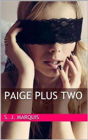 Cover of the book Paige Plus Two by Emma Andersen