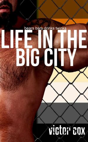 Book cover of Life in the Big City