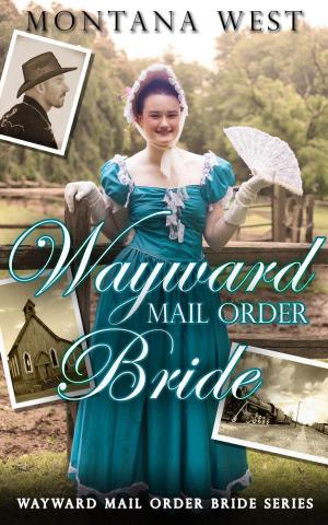 Book cover of Wayward Mail Order Bride