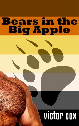 Book cover of Bears in the Big Apple
