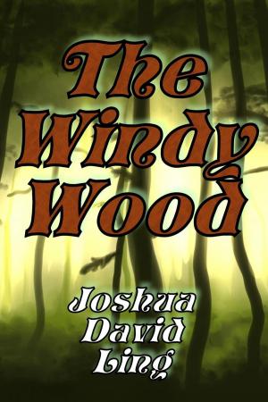 Book cover of The Windy Wood