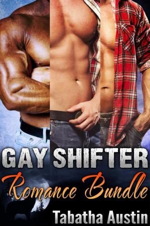 Cover of the book Gay Shifter Romance Bundle by Katherine Shall