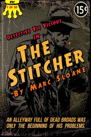 Cover of the book The Stitcher by R.V. Doon
