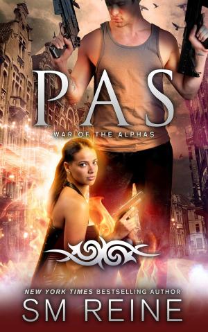 Cover of the book Pas by Debbie Viguié