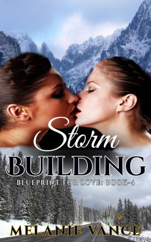 bigCover of the book Storm Building by 