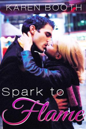 Cover of the book Spark to Flame by Lora Ann