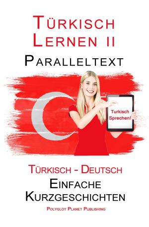 Cover of the book Türkisch Lernen II - Paralleltext (Türkisch - Deutsch) Einfache Kurzgeschichten by Det Nilam
