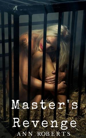 Cover of the book Master's Revenge by Caia Daniels