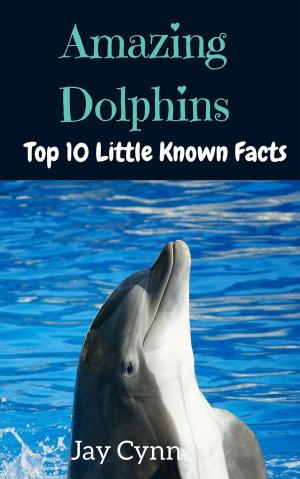 Cover of the book Amazing Dolphins - Top 10 Little Known Facts About Dolphins by Mark Chisnell