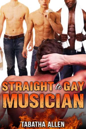 Cover of the book Straight to Gay Musician by Parker Williams