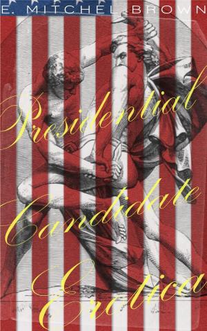 Cover of the book Presidential Candidate Erotica by Ryder Bailey