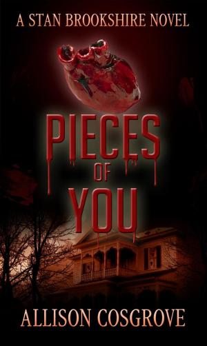 Cover of the book Pieces of You by Victoria Smith