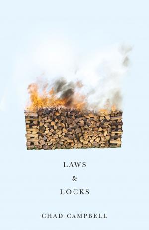 Cover of the book Laws & Locks by Rachelle Alkallay