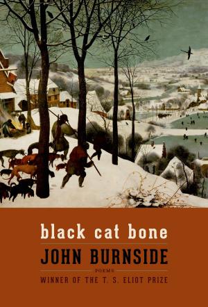 Cover of the book Black Cat Bone by Tony Hoagland