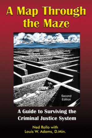 Cover of the book A Map Through the Maze by Harvey E. Shrum