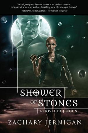 Book cover of Shower of Stones