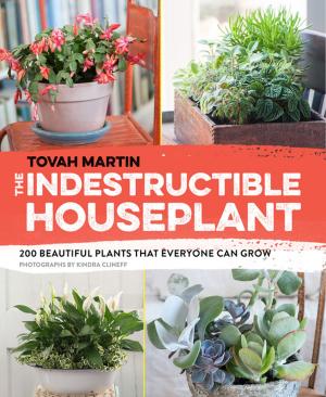 Book cover of The Indestructible Houseplant