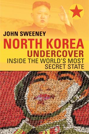 Book cover of North Korea Undercover: Inside the World's Most Secret State