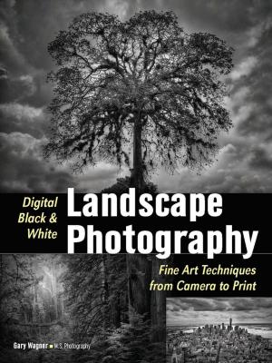 Cover of the book Digital Black & White Landscape Photography by Susannah Maynard
