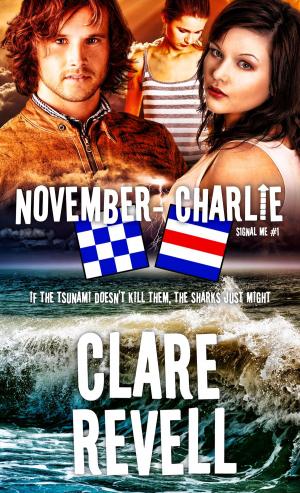 Book cover of November-Charlie