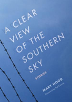 Book cover of A Clear View of the Southern Sky