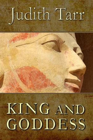 Book cover of King and Goddess